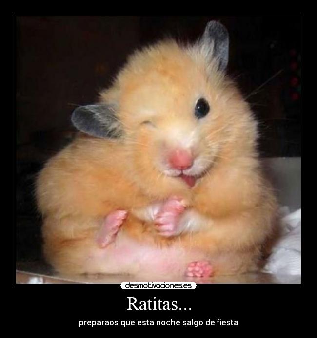 Ratitas... - 