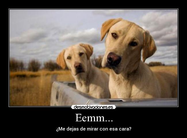 Eemm... - 