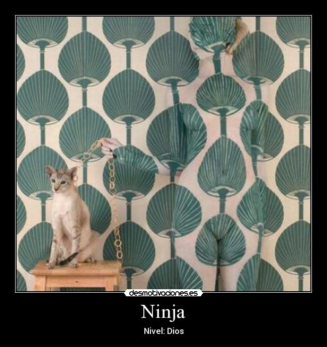 Ninja - 