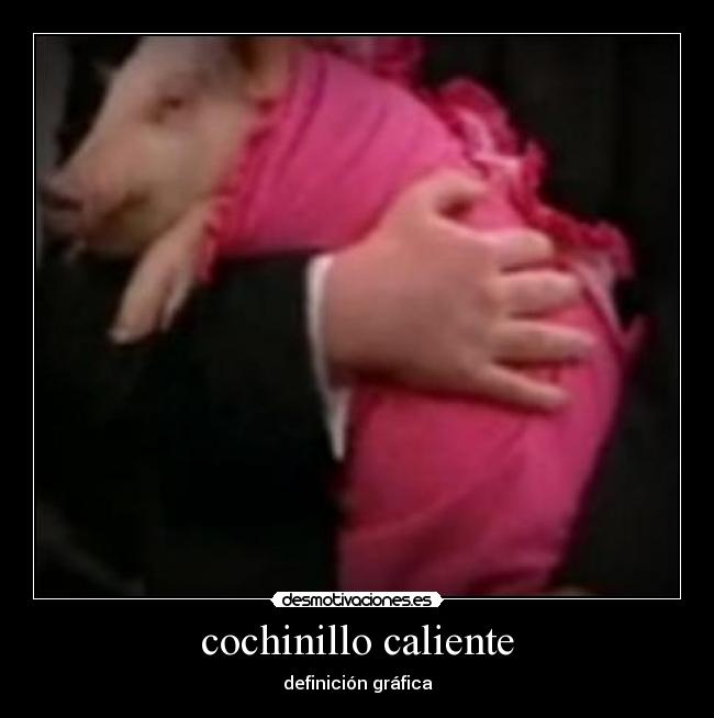 cochinillo caliente - definición gráfica