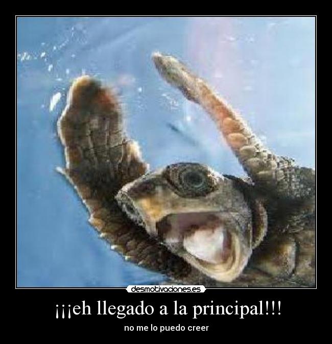 ¡¡¡eh llegado a la principal!!! -