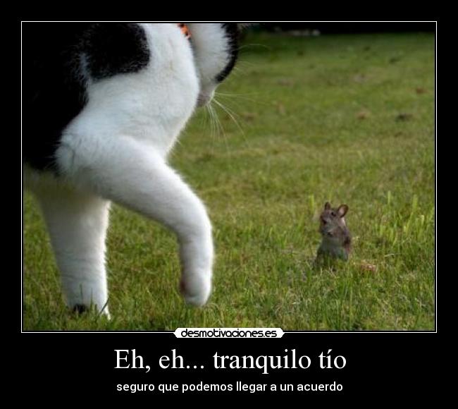 Eh, eh... tranquilo tío - seguro que podemos llegar a un acuerdo