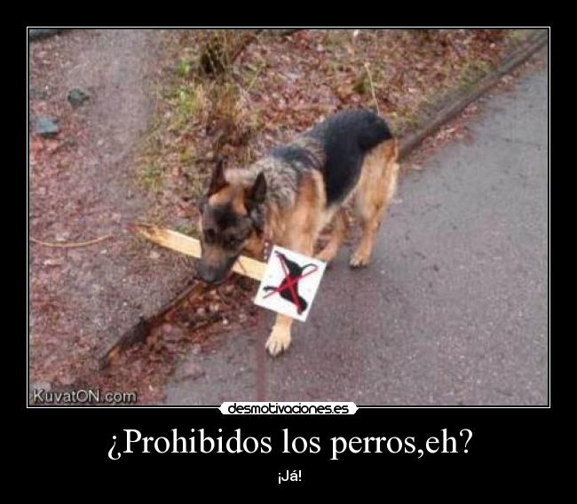 ¿Prohibidos los perros,eh? - 