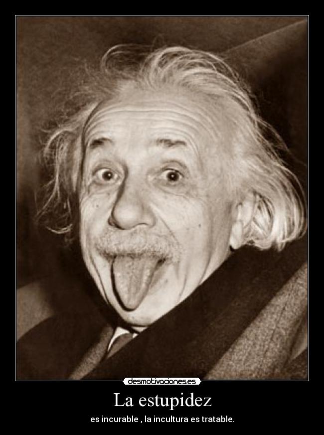 La estupidez - 