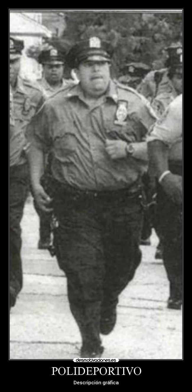 POLIDEPORTIVO - Descripción gráfica