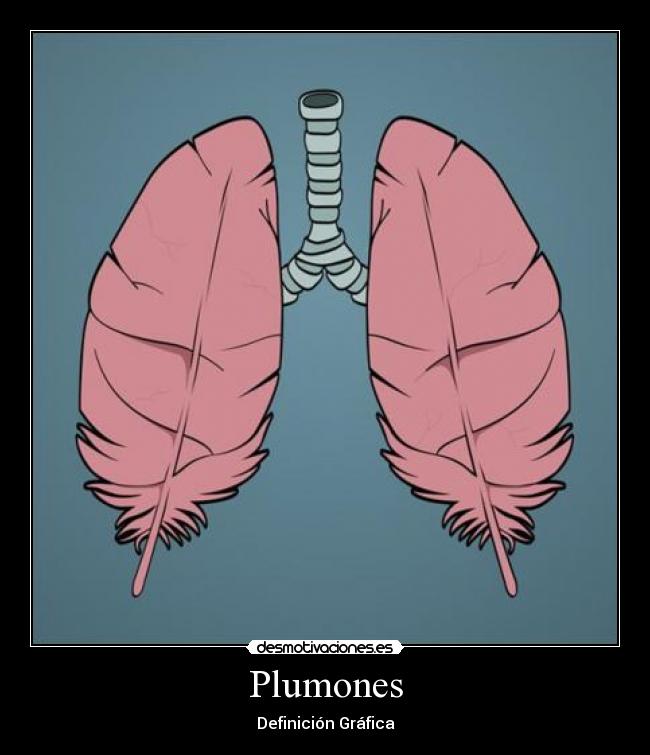 Plumones -
