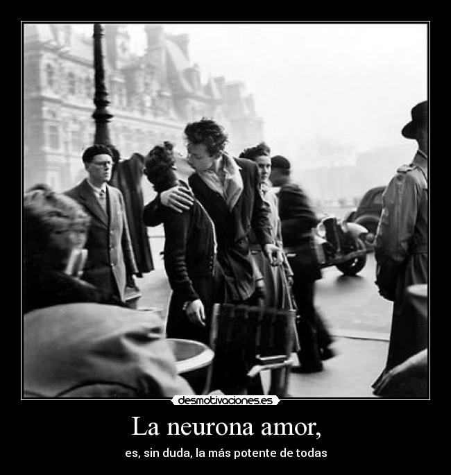 La neurona amor, - es, sin duda, la más potente de todas