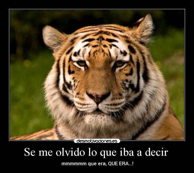 Se me olvido lo que iba a decir -