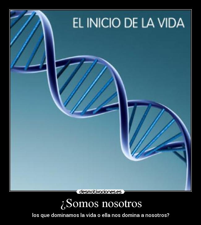 carteles vida dominar desmotivaciones