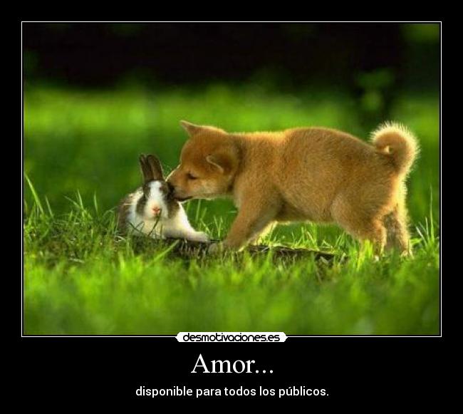 Amor... - disponible para todos los públicos.