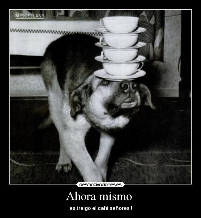 Ahora mismo - les traigo el café señores !