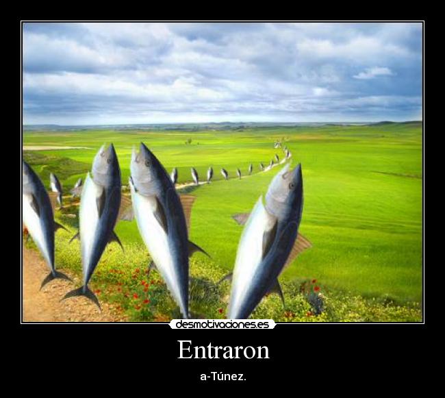 Entraron - 