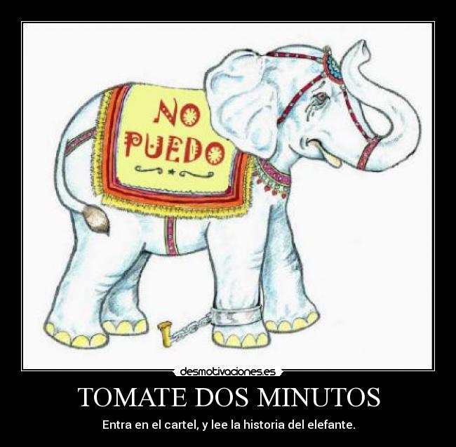 TOMATE DOS MINUTOS - 