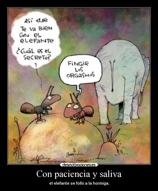 carteles elefante hormiga desmotivaciones