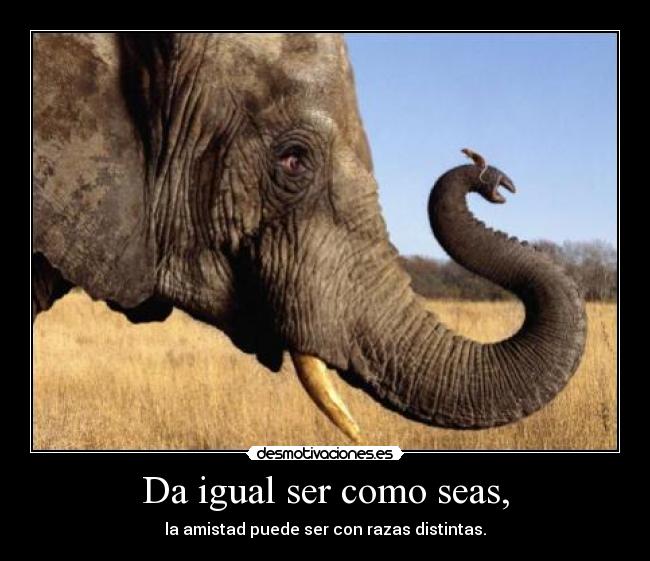 Da igual ser como seas, -