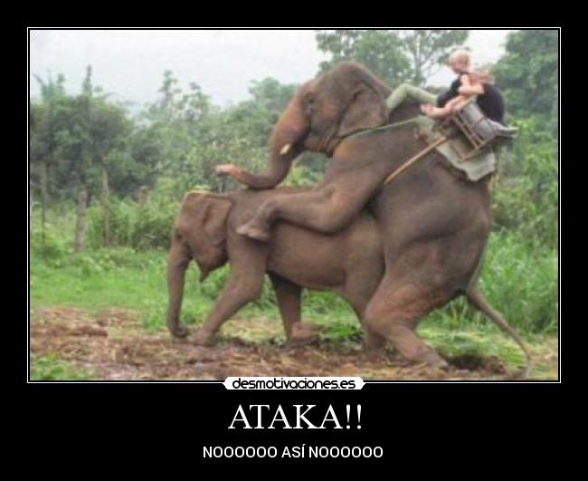 ATAKA!! - NOOOOOO ASÍ NOOOOOO