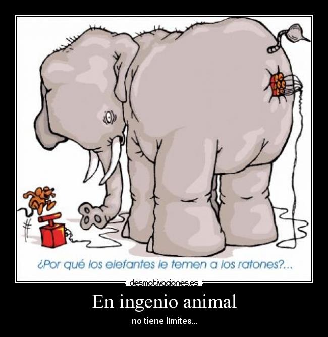 En ingenio animal - no tiene límites...