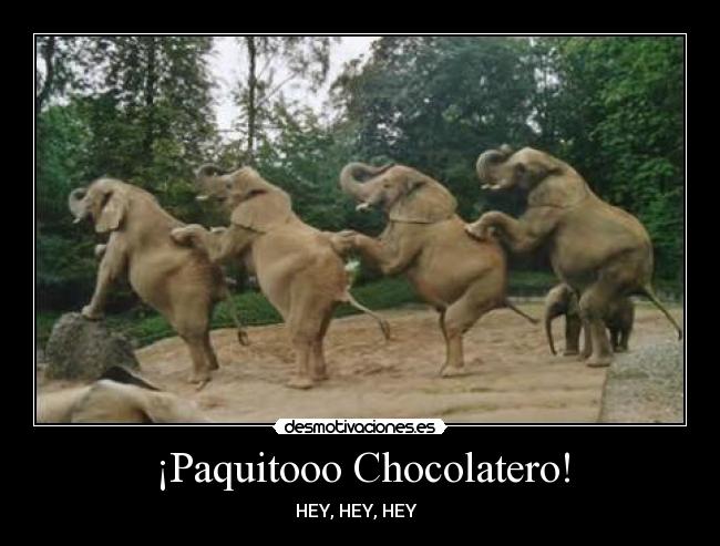 ¡Paquitooo Chocolatero! - HEY, HEY, HEY ♫♪