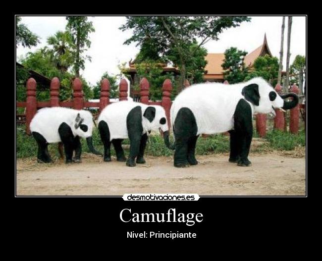 Camuflage - Nivel: Principiante