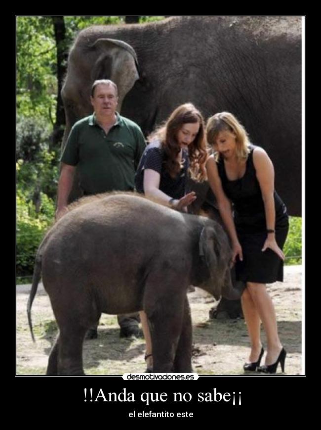 !!Anda que no sabe¡¡ -