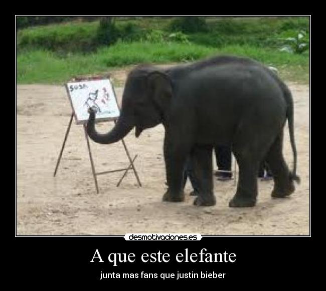 A que este elefante - 