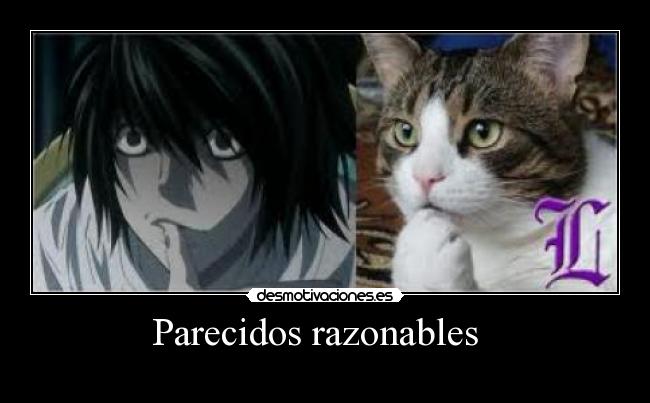 Parecidos razonables -
