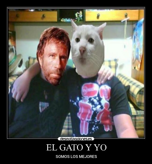 EL GATO Y YO - 