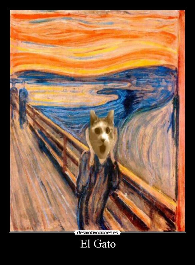 El Gato - 