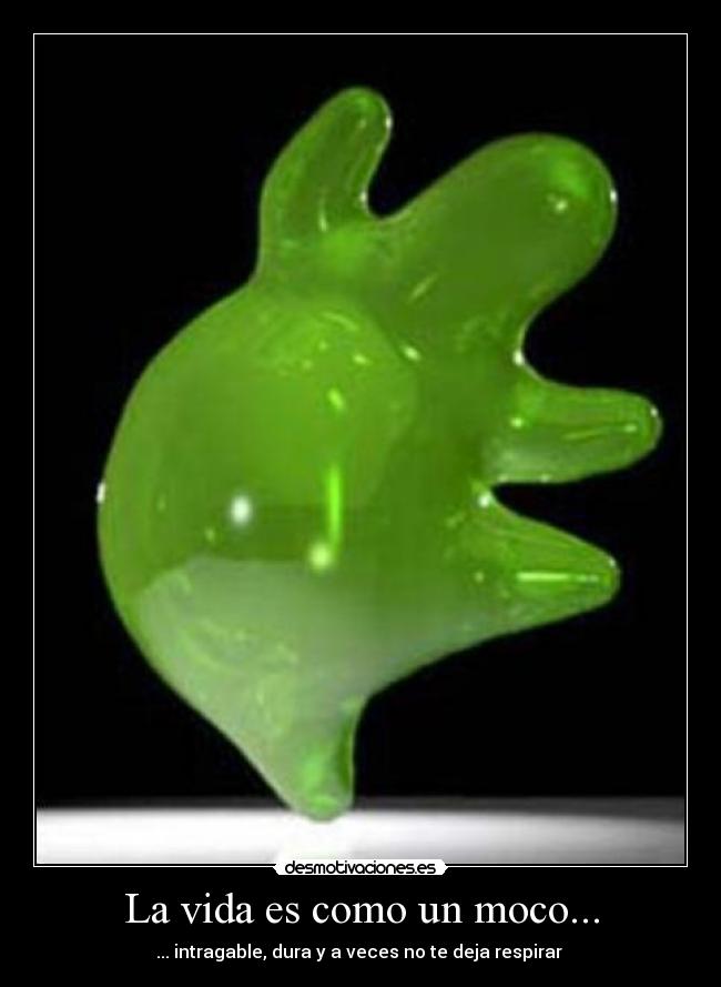 carteles vida moco desmotivaciones