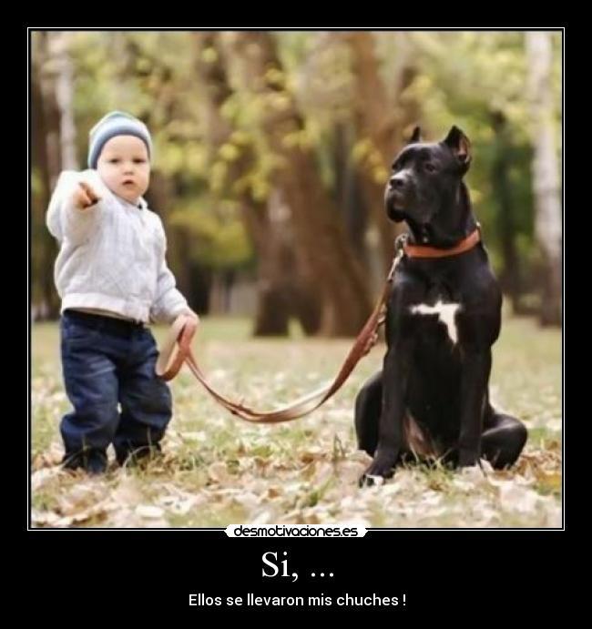 Si, ... - Ellos se llevaron mis chuches !