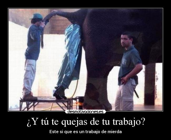 ¿Y tú te quejas de tu trabajo? -