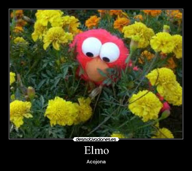 carteles elmo desmotivaciones