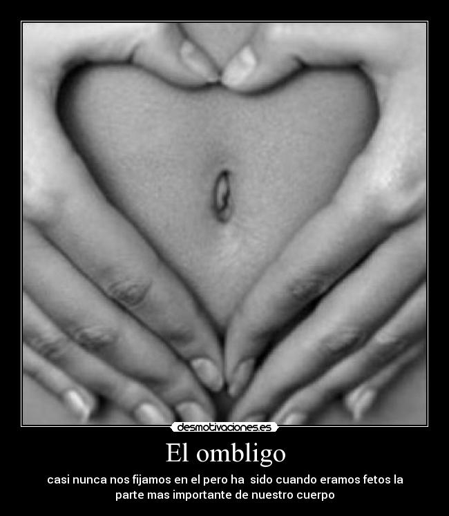 El ombligo - casi nunca nos fijamos en el pero ha  sido cuando eramos fetos la
parte mas importante de nuestro cuerpo