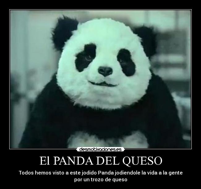 El PANDA DEL QUESO -