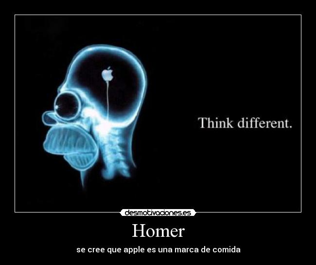 Homer -