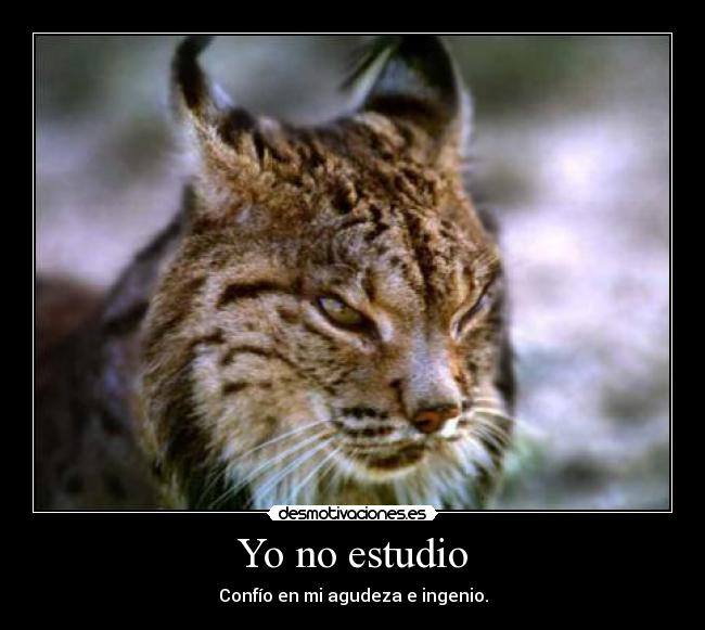 Yo no estudio -