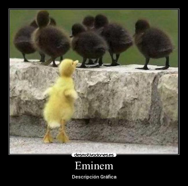 carteles eminem desmotivaciones