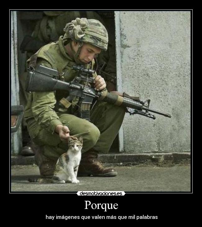 Porque - hay imágenes que valen más que mil palabras