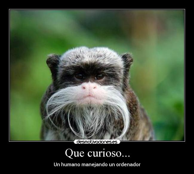 Que curioso... - 