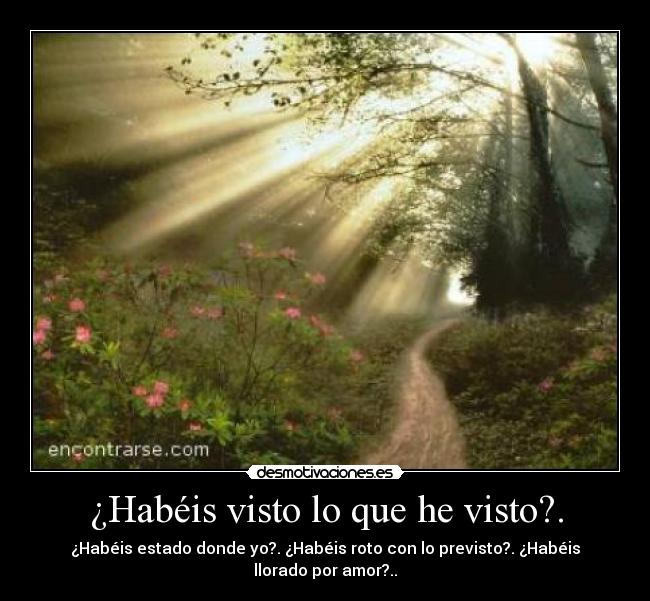 ¿Habéis visto lo que he visto?. - ¿Habéis estado donde yo?. ¿Habéis roto con lo previsto?. ¿Habéis
llorado por amor?..