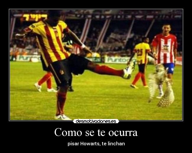 Como se te ocurra - pisar Howarts, te linchan