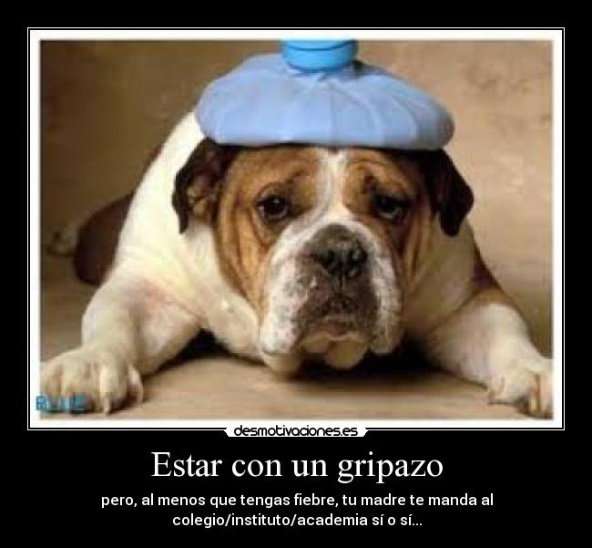 Estar con un gripazo - 