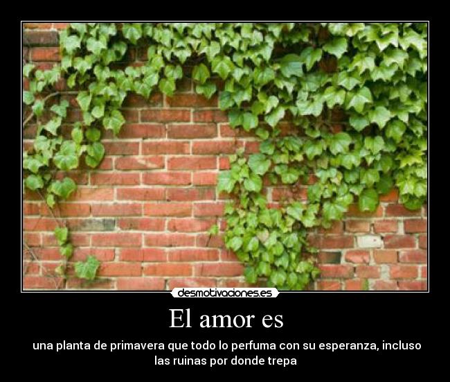 El amor es - 