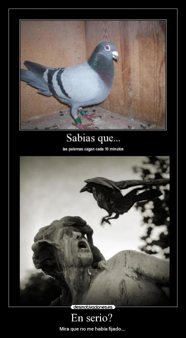 En serio? -