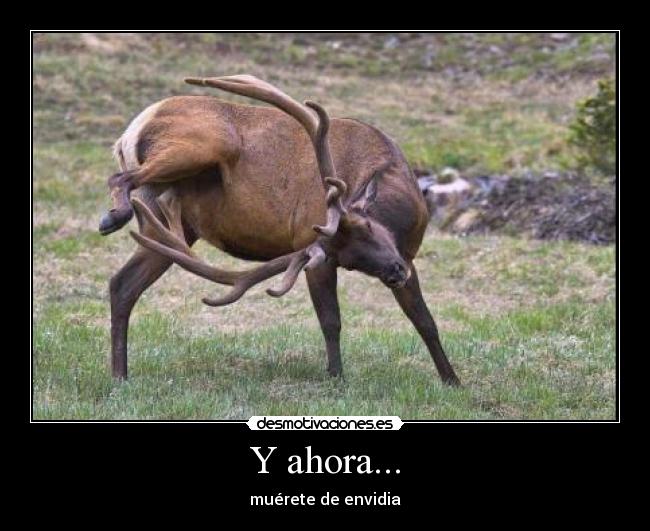 Y ahora... - muérete de envidia
