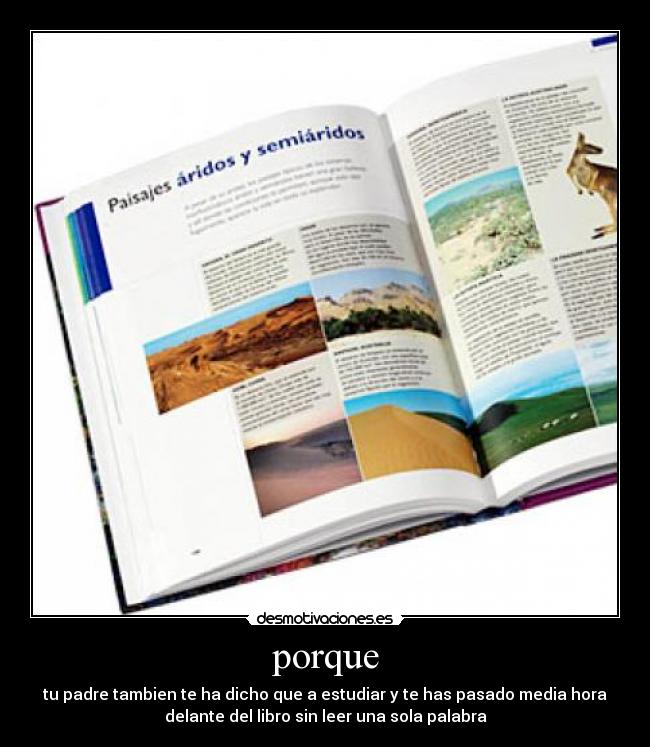 porque - tu padre tambien te ha dicho que a estudiar y te has pasado media hora
delante del libro sin leer una sola palabra