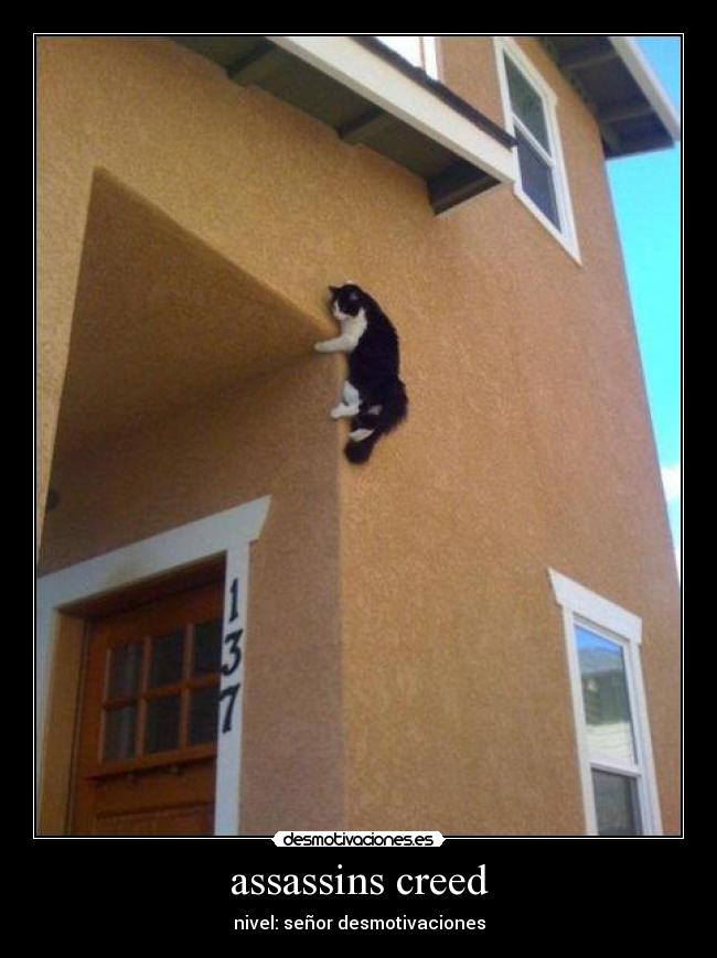 assassins creed - nivel: señor desmotivaciones