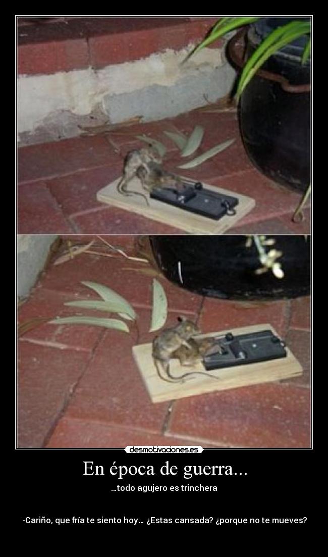 En época de guerra... - 