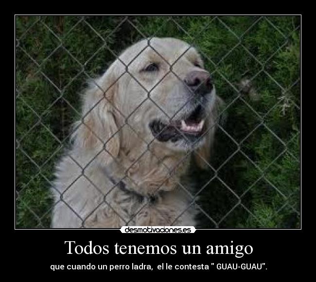 Todos tenemos un amigo -
