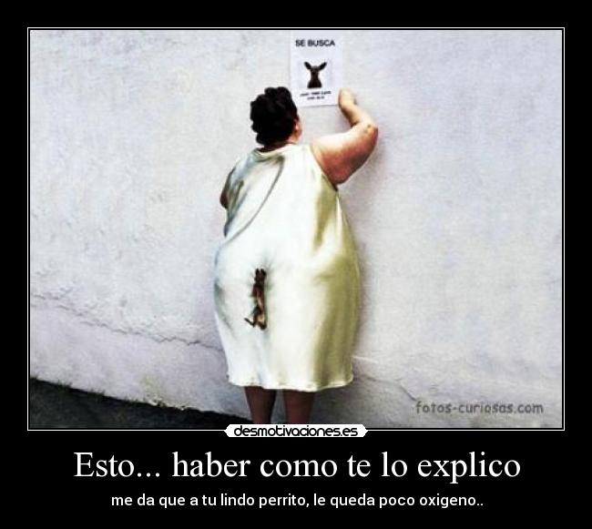 Esto... haber como te lo explico -